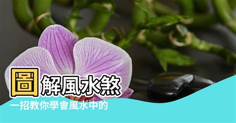 左青龍右白虎風水|正確理解風水中的左青龍右白虎